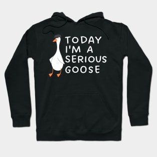 Today I'm A Serious Goose Hoodie